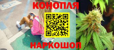 каннабис Будённовск